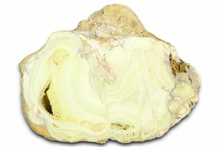 Clay Canyon Crandallite and Wardite - Old Collection Stock #362017